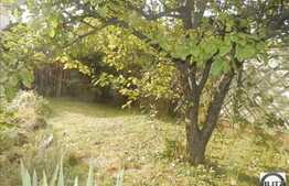 Casa de vanzare, 200 mp, teren de 422 mp, front 25 ml, zona Eremia Grigorescu!