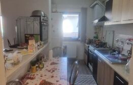 Apartament 2 camere cu gradina ,mobilat, utilat, se doreste si schimb cu casa 