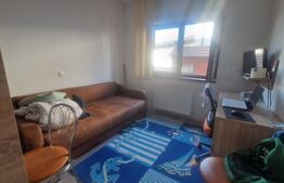 Apartament 2 camere cu gradina ,mobilat, utilat, se doreste si schimb cu casa 