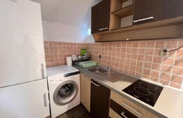 Apartament cu o camera, 30 mp - Andrei Muresanu