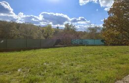 Casa alipita ideal pentru două familii, in Stolna