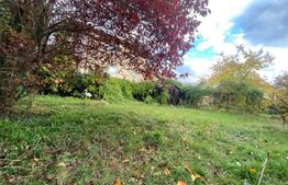 Casa spatioasa cu garaj si curte, 495 mp, în Gheorgheni