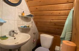 Casa spatioasa cu garaj si curte, 495 mp, în Gheorgheni