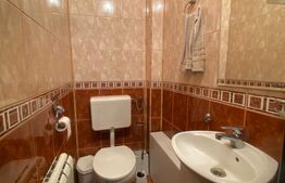 Casa spatioasa cu garaj si curte, 495 mp, în Gheorgheni