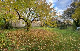 Casa spatioasa cu garaj si curte, 495 mp, în Gheorgheni