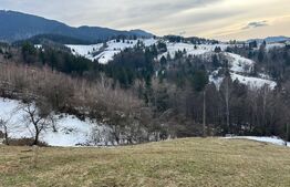 Teren de vanzare Sohodol, Bran