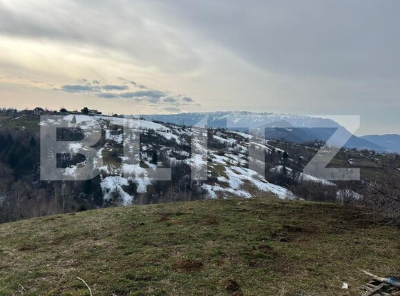 Teren de vânzare Bran - 189679TV | BLITZ Brașov | Poza1