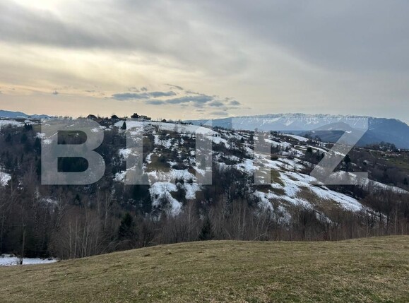 Teren de vânzare Bran - 189679TV | BLITZ Brașov | Poza3
