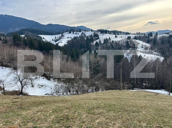 Teren de vânzare Bran - 189679TV | BLITZ Brașov | Poza2