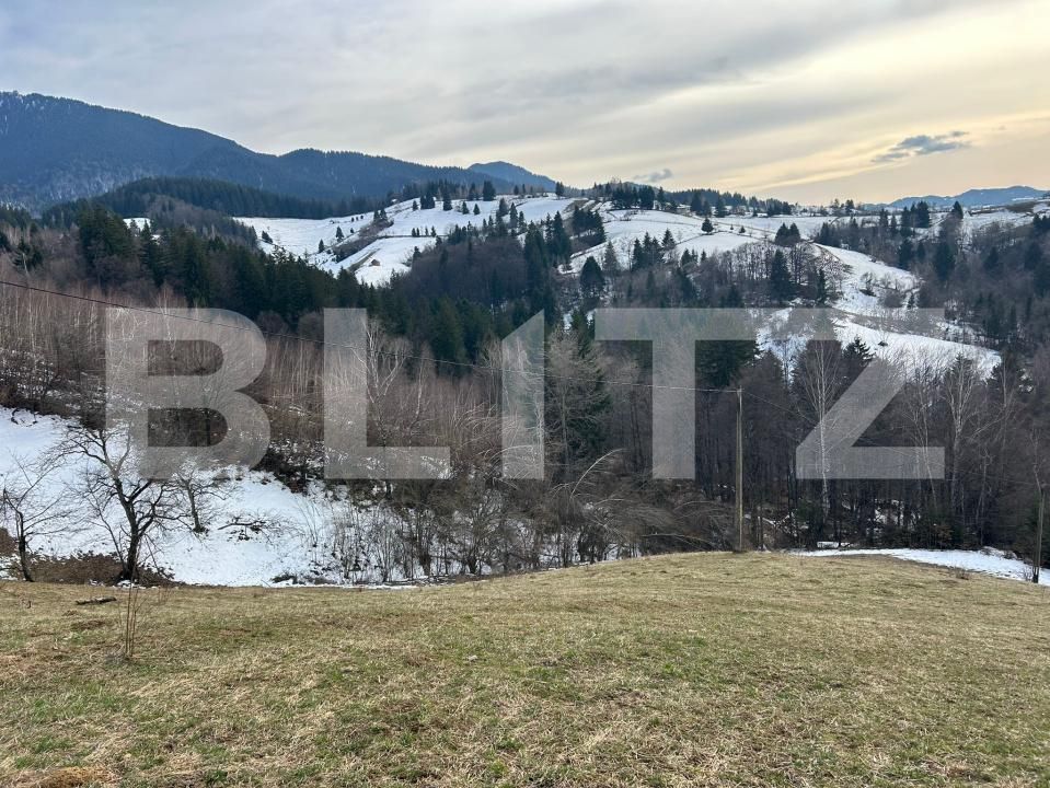 Teren de vânzare Bran - 189679TV | BLITZ Brașov | Poza2