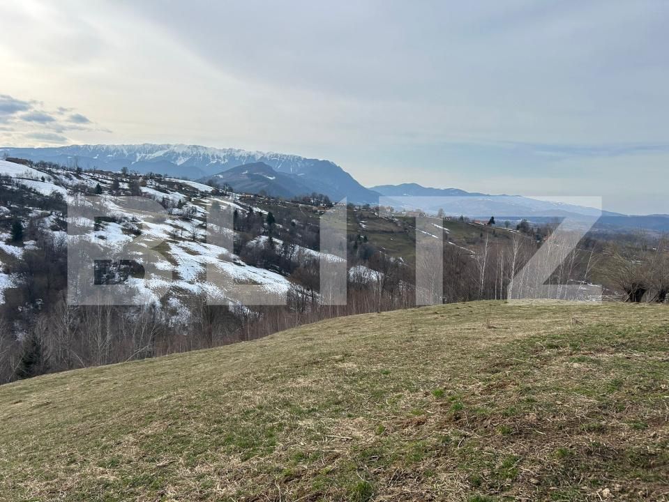 Teren de vânzare Bran - 189679TV | BLITZ Brașov | Poza4