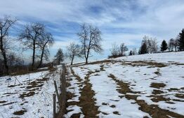 Teren intravilan zona Sohodol, Bran