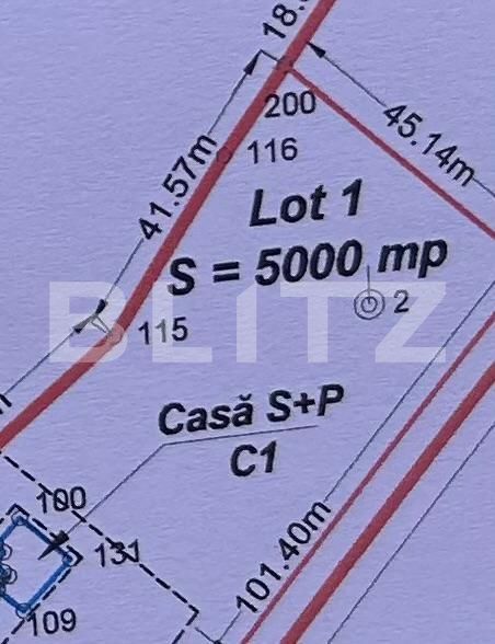 Teren de vânzare Bran - 189682TV | BLITZ Brașov | Poza3