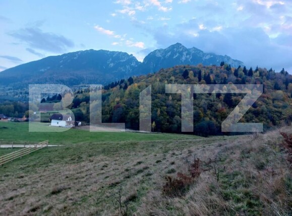 Teren de vânzare Zarnesti - 189688TV | BLITZ Brașov | Poza1