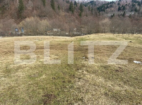 Teren de vânzare Zarnesti - 189688TV | BLITZ Brașov | Poza1