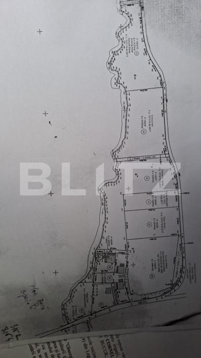 Teren de vânzare Zarnesti - 189688TV | BLITZ Brașov | Poza3