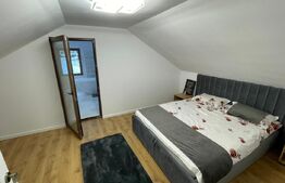 Cabana in padure, langa Codlea