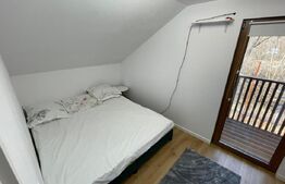 Cabana in padure, langa Codlea