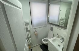 Cabana in padure, langa Codlea