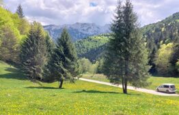 Teren exceptional de vanzare, 5170 mp  zona Plaiul Foii, Zarnesti 
