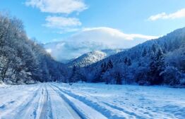 Teren exceptional de vanzare, 5.170 mp - zona Plaiu Foii, Zarnesti 