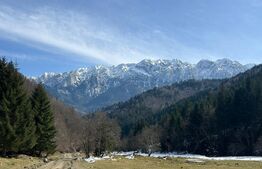 Teren exceptional de vanzare, 5.170 mp - zona Plaiu Foii, Zarnesti 