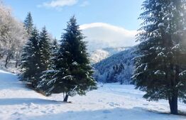 Teren exceptional de vanzare, 5.170 mp - zona Plaiu Foii, Zarnesti 