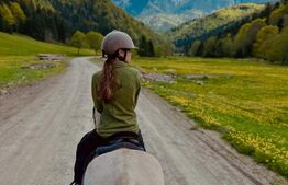 Teren exceptional de vanzare, 5.170 mp - zona Plaiu Foii, Zarnesti 