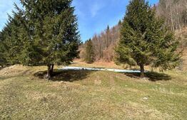 Teren exceptional de vanzare, 5170 mp  zona Plaiul Foii, Zarnesti 