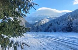 Teren exceptional de vanzare, 5.170 mp - zona Plaiu Foii, Zarnesti 