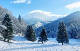 Teren exceptional de vanzare, 5.170 mp - zona Plaiu Foii, Zarnesti 