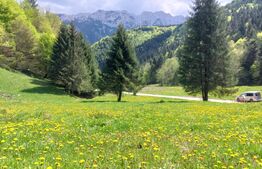 Teren exceptional de vanzare, 5170 mp  zona Plaiul Foii, Zarnesti 