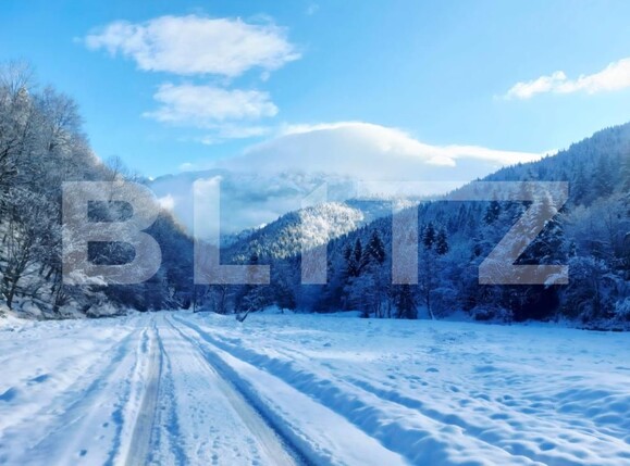 Teren de vânzare Zarnesti - 189690TV | BLITZ Brașov | Poza8