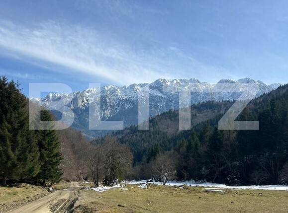 Teren de vânzare Zarnesti - 189690TV | BLITZ Brașov | Poza6