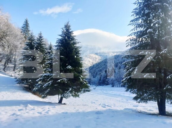 Teren de vânzare Zarnesti - 189690TV | BLITZ Brașov | Poza10