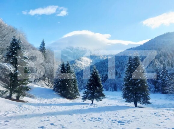 Teren de vânzare Zarnesti - 189690TV | BLITZ Brașov | Poza9