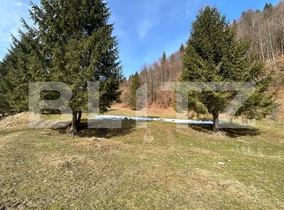 Teren de vânzare Zarnesti - 189690TV | BLITZ Brașov | Poza7