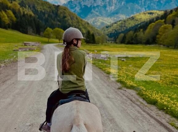 Teren de vânzare Zarnesti - 189690TV | BLITZ Brașov | Poza3