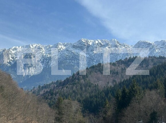 Teren de vânzare Zarnesti - 189690TV | BLITZ Brașov | Poza1