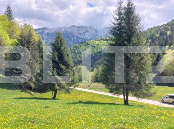 Teren de vânzare Zarnesti - 189690TV | BLITZ Brașov | Poza4