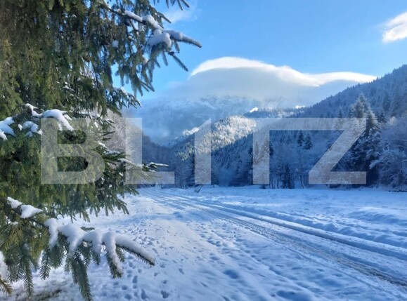 Teren de vânzare Zarnesti - 189690TV | BLITZ Brașov | Poza11