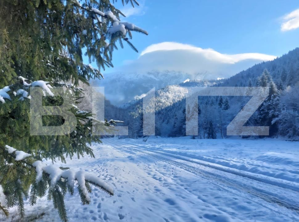 Teren de vânzare Zarnesti - 189690TV | BLITZ Brașov | Poza11