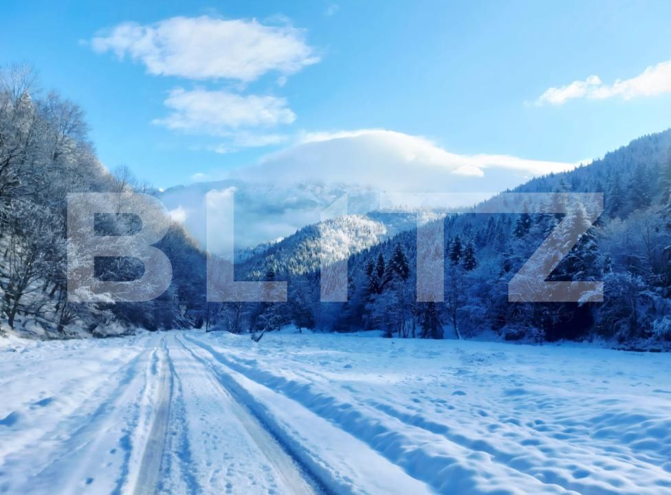 Teren de vânzare Zarnesti - 189690TV | BLITZ Brașov | Poza8