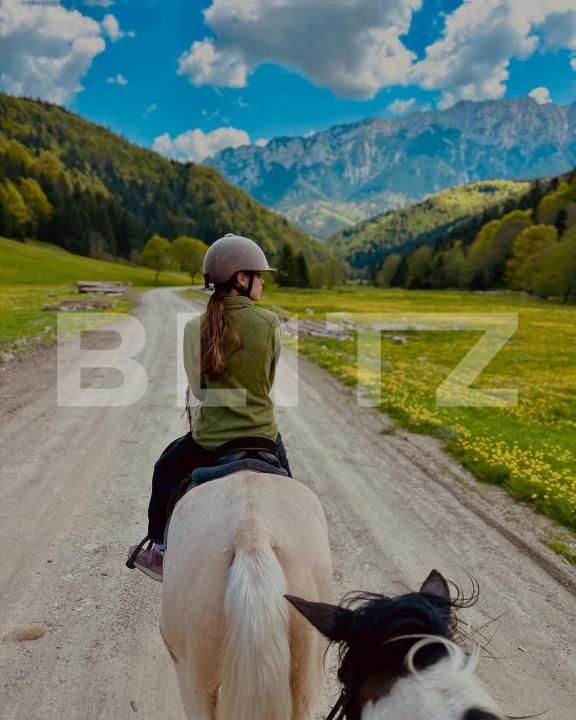 Teren de vânzare Zarnesti - 189690TV | BLITZ Brașov | Poza3