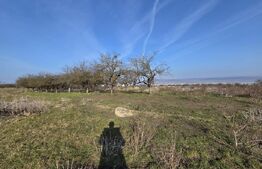 Teren intravilan de vânzare – 4.200 mp – Zona Restaurant Aroma, Feleacu