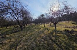 Teren intravilan de vânzare – 4.200 mp – Zona Restaurant Aroma, Feleacu