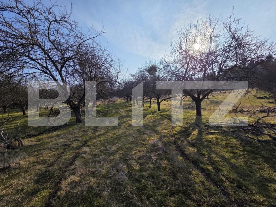 Teren de vânzare Feleacu - 189701TV | BLITZ Cluj-Napoca | Poza3