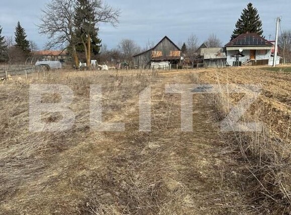 Teren de vânzare Gilău - 189708TV | BLITZ Cluj-Napoca | Poza1