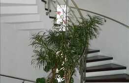 Casa de vanzare 380 mp utili, teren 1000 mp, cu terasa, zona linistita de case