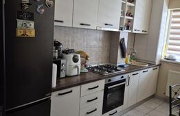 Garsoniera spatioasa 38 mp + terasa 12 mp | Sanpetru, Brasov